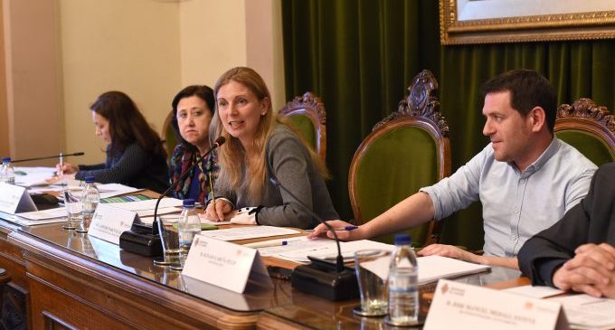 El Consell Social de Castelló valida l'evolució de les operacions de l'Estratègia EDUSI