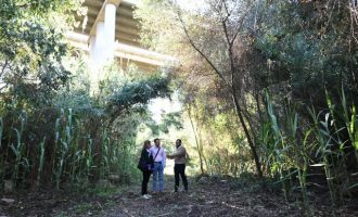 Vila-real posa en valor el Molí Paquero preservant la biodiversitat