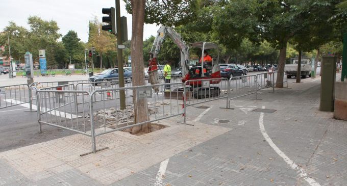 Castelló mejora la vía ciclista de la avenida Chatellerault con la creación de un carril único