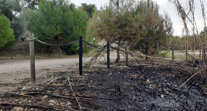 Els últims incendis al Paisatge Protegit de la Desembocadura del Millars cremen pins, canyars i una part de l'històric molí del Terraet