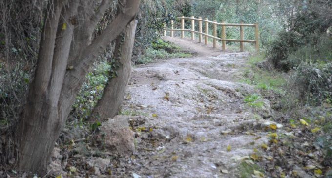 El Consorci gestor del Paisatge Protegit de la Desembocadura del riu Millars a Vila-real ha iniciat la reposició de l'equipament deteriorat de la zona fluvial