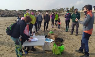Castelló posa en valor la riquesa natural de les seues platges i millora l'ecosistema del corriol en una jornada de voluntariat ambiental