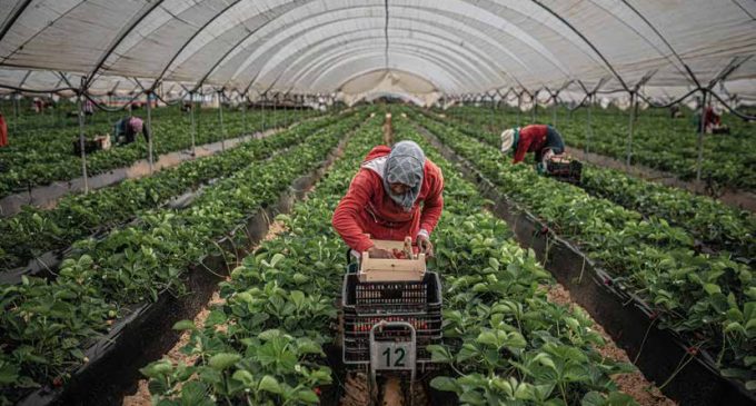 El Mucbe s'apropa a les temporeres marroquines amb 'Sobrevivir a los campos de fresas'