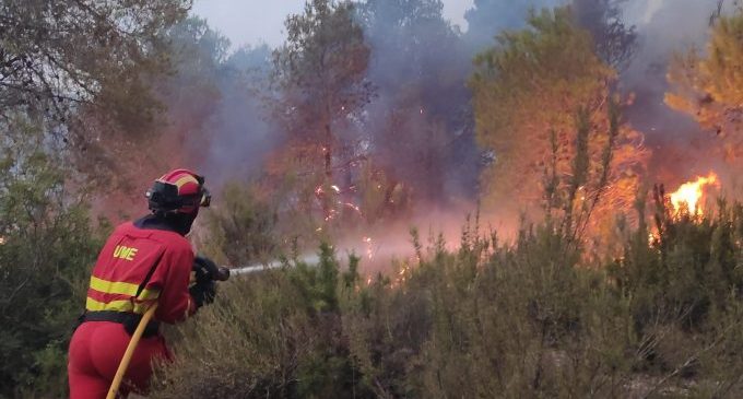 Interior decreta el nivel máximo de riesgo de incendios forestales en la Comunitat Valenciana