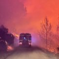 El incendio forestal de Azuébar, el más importante de la Comunitat Valenciana, afecta ya a 500 hectáreas