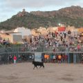 Recaptats més de 7.000 euros per a la AECC en els actes taurins d'Almenara