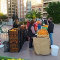 Castelló inicia la Fira de la Taronja per a acurtar la cadena alimentària i augmentar preus per als productors