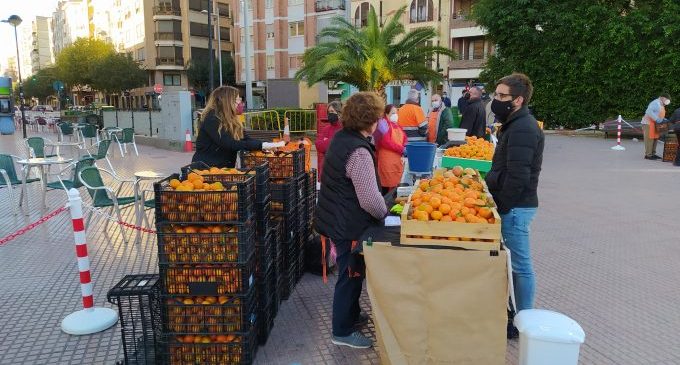 Castelló inicia la Fira de la Taronja per a acurtar la cadena alimentària i augmentar preus per als productors