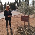 La Vall d'Uixó prepara el cementeri municipal per al dia de Tots Sants
