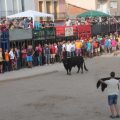 El bou per la vila torna a Almenara