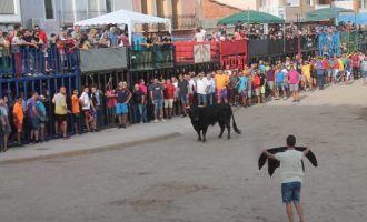 Almenara recupera els bous al desembre amb un gran cartell taurí