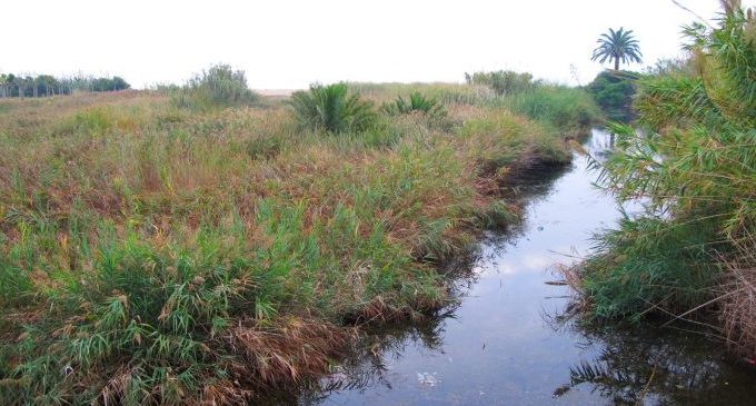 Benicarló reivindica al Govern la recuperació del projecte de canalització de la rambla d'Alcalà