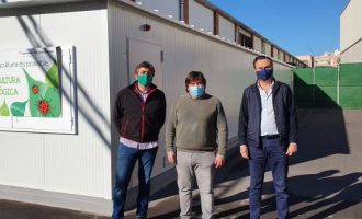 Borriana suma 15.000 euros a la batalla biològica contra el cotonet amb un insectari
