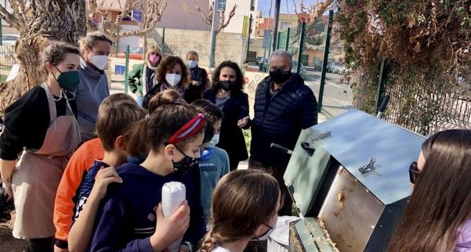 Almassora estrena los compostadores de basura orgánica en sus colegios