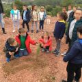 Escolars d'Almenara planten 500 pins per a celebrar el Dia de l'Arbre