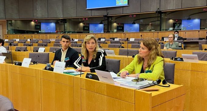 Marco defensa el projecte de millora de l'avinguda Lledò en el Parlament Europeu