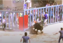 Última hora sobre l'estat de l'home ferit per un bou a Vila-real