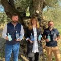 Un dels millors olis d'oliva del món s'elabora a Castelló