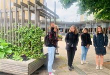 Castelló constata a Malmö els beneficis d'aplicar solucions verdes al desenvolupament urbà