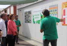 Burriana amplía la batalla biológica contra el cotonet con un insectario en el municipio