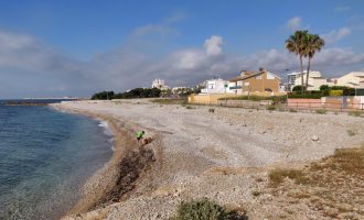 Castellón cuenta con una nueva playa para perros