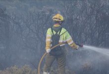 Bomberos consiguen estabilizar el incendio forestal en Xert