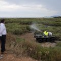 La Diputación continúa esta semana la lucha contra los mosquitos fumigando en 60 municipios de la costa y el interior