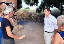 Castelló multiplica por diez las ayudas para el cuidado de las colonias felinas