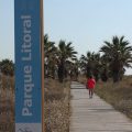 Castelló destinará más de 340.000 euros al mantenimiento del parque litoral y el paseo marítimo