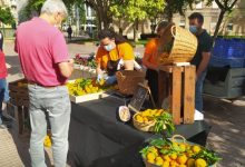 Castelló convoca el 5 de septiembre una reunión informativa para abordar la próxima edición de la Fira de la Taronja