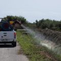 La Diputación realiza tratamientos terrestres contra mosquitos la próxima semana en 61 municipios