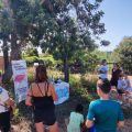 Castelló organitza una jornada de voluntariat ambiental per a posar en valor l'ecosistema del Molí la Font