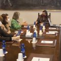 La Diputació de Castelló i la UNED impulsen la creació de la 'Càtedra Diputació de Castelló d'Igualtat i Benestar Emocional i Psicològic'