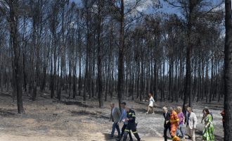 Puig advoca pel treball conjunt de totes les institucions per a “reconstruir” les zones afectades pels incendis