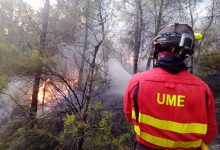 Un nuevo incendio forestal arrasa la provincia de Castellón