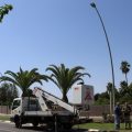 Vila-real despliega su Plan de eficiencia energética con la renovación de un millar de bombillas del alumbrado público por led para ahorrar hasta un 60%