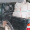 Dos personas investigadas por robar más de 200 kilos de garrofas en Onda