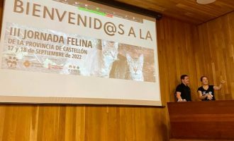 Castelló celebra la III Jornada Felina organitzada per Huellas Callejeras