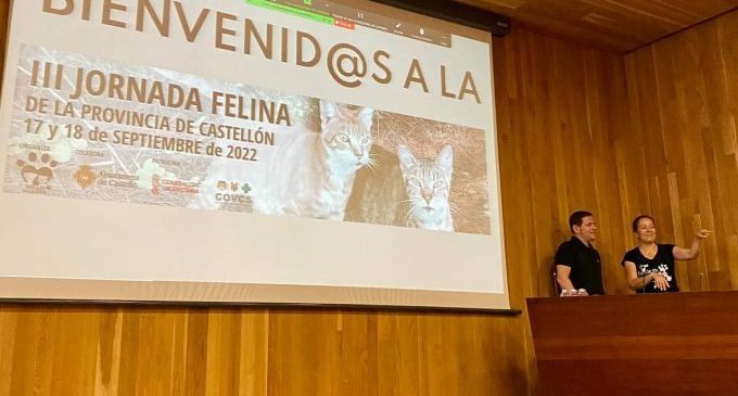 Castelló celebra la III Jornada Felina organitzada per Huellas Callejeras