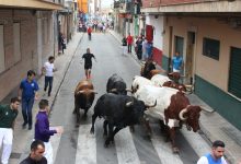 Varietat de procèdencies en el concurs de ramaderies de Santa Quitèria a Almassora