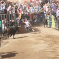 Miles de aficionados al toro vibran con el primer encierro de Fira d'Onda a cargo de Partido Resina