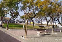 Vinaròs adequa les zones verdes i l’arbrat del municipi