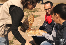 Castelló impulsa la segunda convocatoria para organizar actividades de educación ambiental en verano