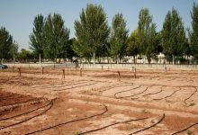 Almassora abrirá en 15 días las solicitudes de huertos urbanos