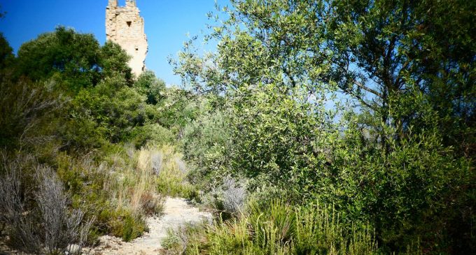 La Generalitat aprueba la nueva delimitación y normativa de protección del entorno de la Torreta de los Moros de Vinaròs