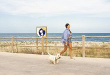 Les platges per a gossos a Castelló per a gaudir aquest estiu