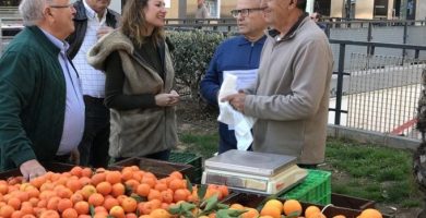 El Mercat de la Taronja de Castelló regresa este domingo en las plazas Fadrell y María Agustina