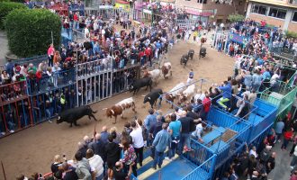 Els bous de Couto de Fornilhos i Santa Teresa atrauen a milers d'aficionats en un emocionant tancament de la Fira d'Onda
