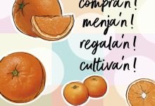 Vila-real lanza una campaña para fomentar el consumo de naranjas locales y apoyar a las empresas citrícolas de la ciudad