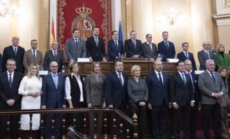 Barrachina pone en valor el papel “fundamental” de las diputaciones provinciales en la Comisión de la FEMP constituida en el Senado